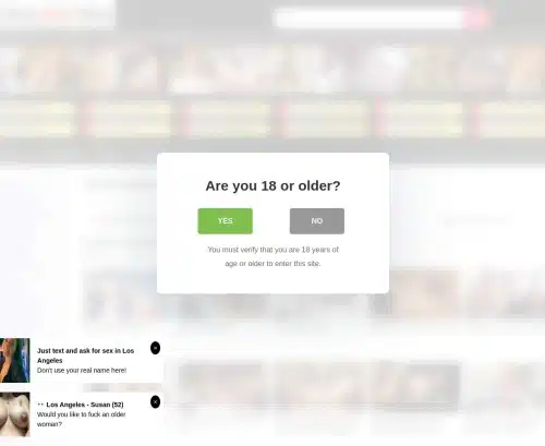 A Review Screenshot of Home-Made_Videos